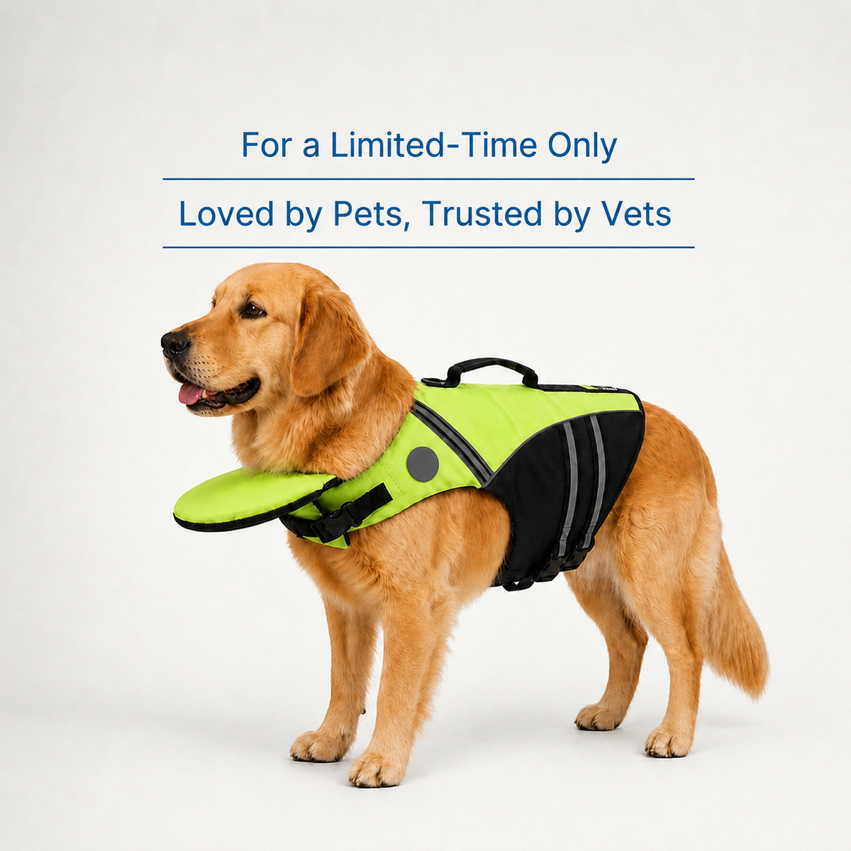 🐕Dog Life Jacket With Chin Support